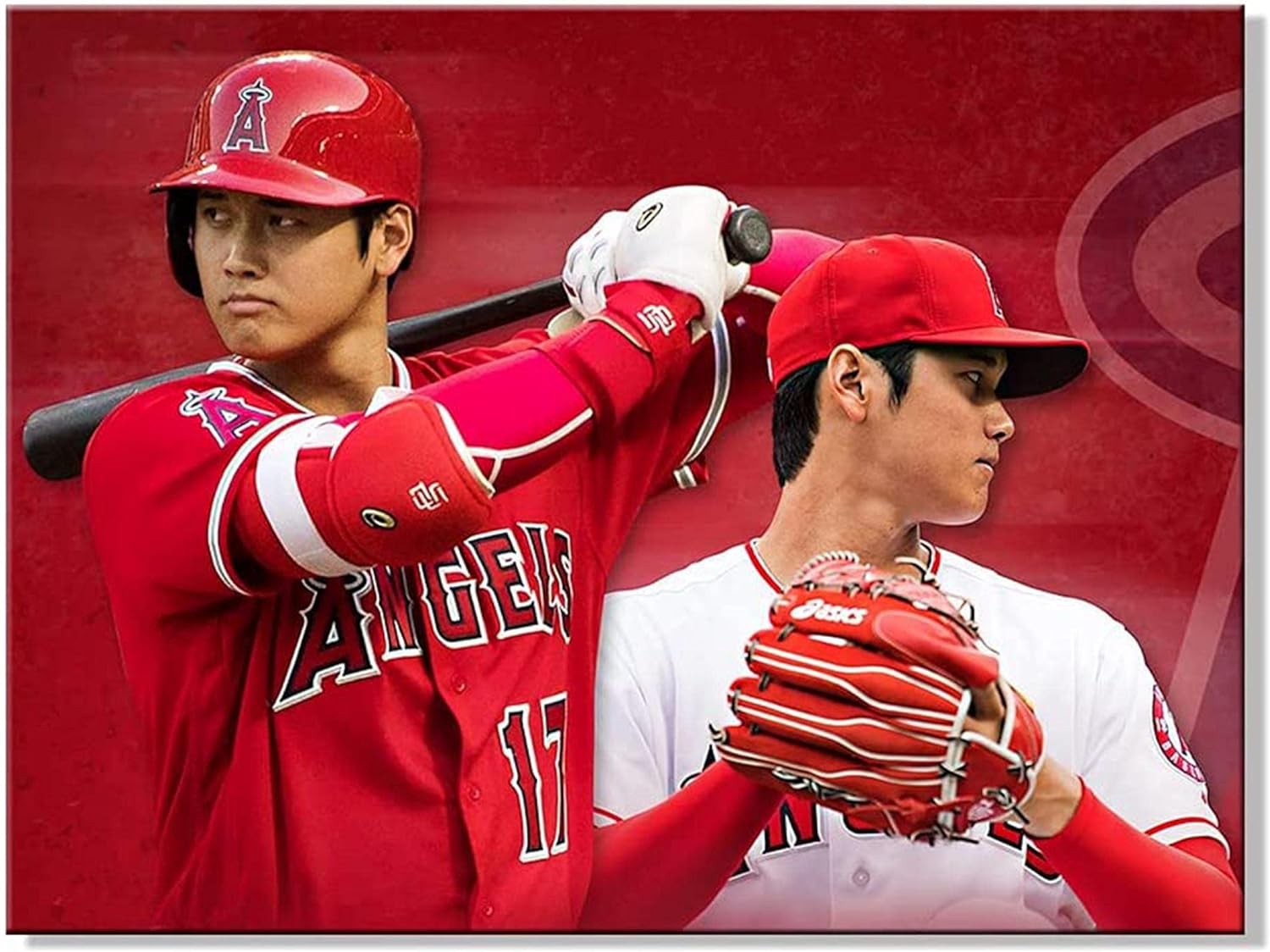 大谷翔平選挙  日本ハム入団  ルーキー2013年